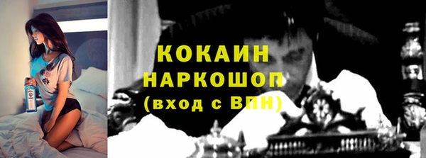 дмт Билибино