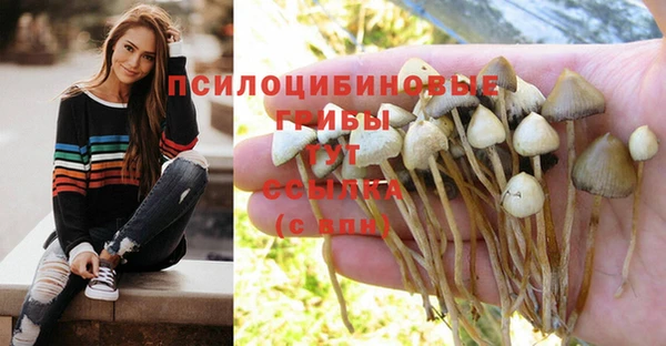 трава Покачи