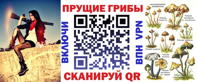 Галлюциногенные грибы Psilocybine cubensis  Великий Новгород 