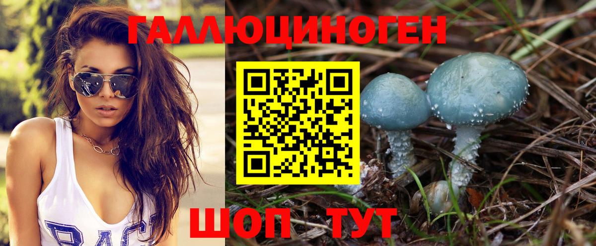Великий Новгород  Галлюциногенные грибы Psilocybine cubensis  Вход с VPN 