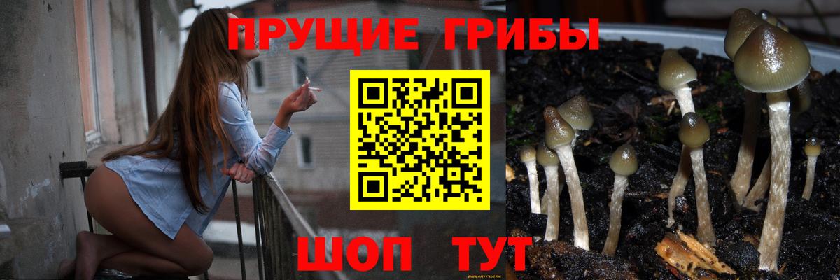 Псилоцибиновые грибы мицелий Великий Новгород