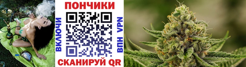 Марихуана OG Kush Великий Новгород